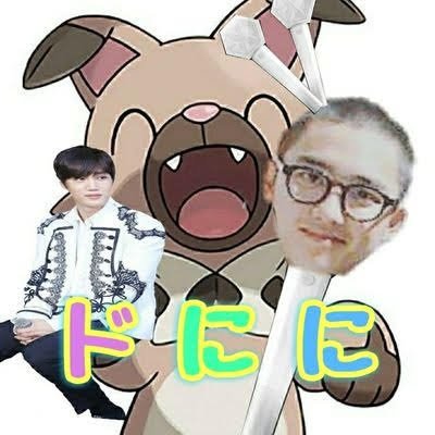 EXO盲目/【カイドシッパー】 愛知県エクセル 隠れピョンテでごさいます 気軽にポチッとおしてフォローしてちょー カイド語ろう⤴⤴⤴⤴⤴⤴ あ^~ギョンスの音ォー🐧🐧 💩無言フォロー嫌ですしないで下さい( ˙-˙ ) 無言フォローの方一言いただけなければリムらせて頂きます👍👍👍👍👍💩💩