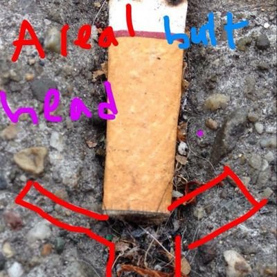 ticklemebeshara's profile picture. a real butt head
(and phd student)