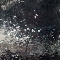 魚與花雕 (@anu_yu) 's Twitter Profile