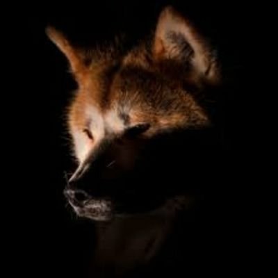 JosueelSexi1's profile picture. El Salvador 😙😙🇸🇻🇸🇻🇸🇻🇸🇻