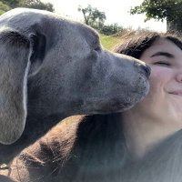 Aemilia Phillips (@aemphillips) 's Twitter Profile
