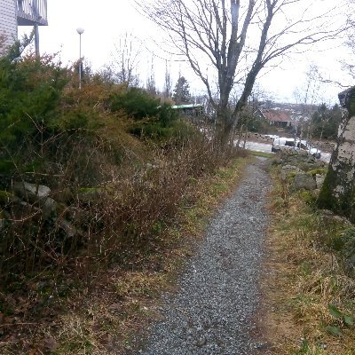 Rudolf19073762's profile picture. Xxxx