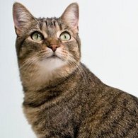 florflyflower's profile picture. Cold and hard as marble