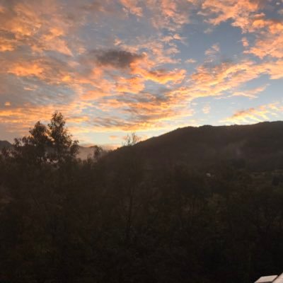 WelcometoCydia's profile picture. 🍜🫶🏾