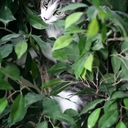 Zane Montgomery - @Zane_Montgomery - Twitter