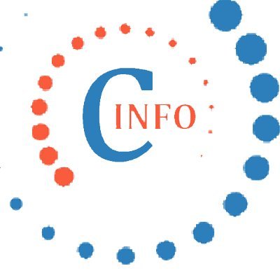 Chokshi's Infotech Profile
