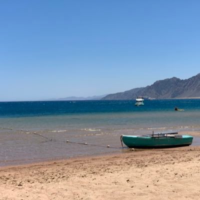 Nomohady's profile picture. 