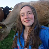 Lisa McGrane (@lisamcgrane4) 's Twitter Profile