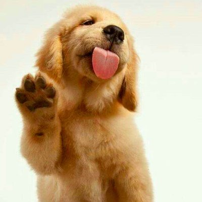 BindiASibs's profile picture. Still smiling, fit and healthy. Touch wood quickly!!
Against all Fascist or Tyrants in the Modern Free World, NO matter where they are. Stand up and be counted.