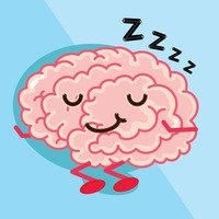 Sleep Science Podcast (@sleepsciencepo1) 's Twitter Profile Photo Sleep Science Podcast (@sleepsciencepo1) 's Twitter Profile Photo