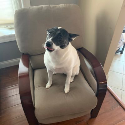 robert_munson's profile picture. 