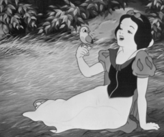 likeaponey's profile picture. 