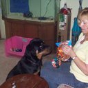 Barb Maxwell - @barbmaxwell81 - Twitter