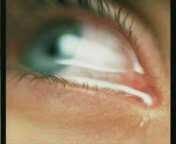 wilsonbbg's profile picture. 