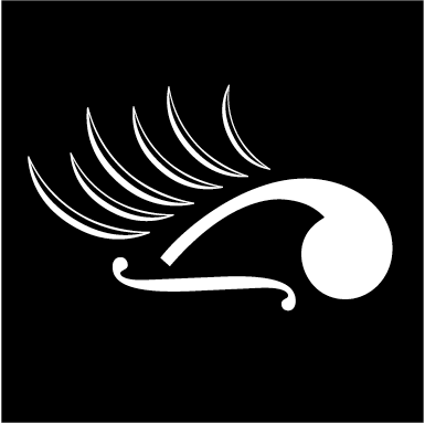 freelance designer and illustrator