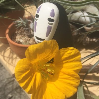 e10rider500's profile picture. メタル。イエモン。プロレス。チランジア。80年代。シャア・アズナブル。カオナシ。三沢光晴。行政書士。赤ワイン。スッキリとした日本酒。毅と守。横浜。いいね👍RTありがとうございます。