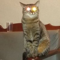 na esquerda é mais gostoso ufv🚩 (@fernandowild1) 's Twitter Profile