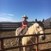 JJ Goicoechea (@cross7livestock) Twitter profile photo JJ Goicoechea (@cross7livestock) Twitter profile photo