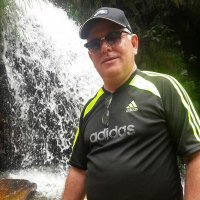 Felix (@felix12670608) 's Twitter Profile