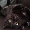 Daniel Chaplin - @Danielchaplin - Twitter