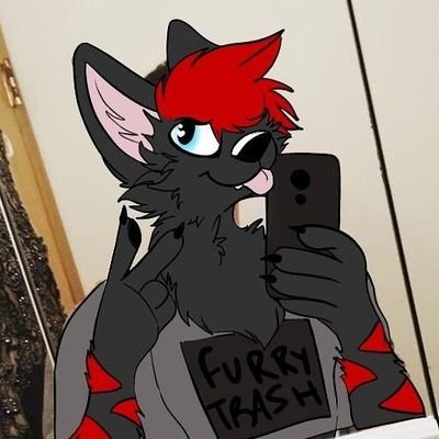Sup. I'm a obvious furry, I don't care about what I do on here.
I do (bad) art, play video games, make music now and have fun.
Discord: A Fuzzy Gaymurr#3339