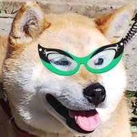 🍊🎧いんげん豆🎧🍊 (@osamurai00036) 's Twitter Profile Photo 🍊🎧いんげん豆🎧🍊 (@osamurai00036) 's Twitter Profile Photo