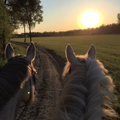 subside77's profile picture. يّارب قُرّ عيني بما تتمنّى.