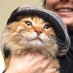 ginger (@nuri_kayarlar) Twitter profile photo ginger (@nuri_kayarlar) Twitter profile photo