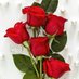 Tahsin. Aksoy (@tahsina56315038) Twitter profile photo Tahsin. Aksoy (@tahsina56315038) Twitter profile photo