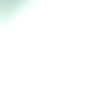 Nelson (@nelsdams) 's Twitter Profile