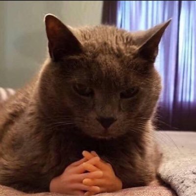 رياكشنز On Twitter رياكشن جيري مسوي خوي