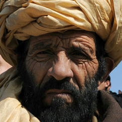 ggmao's profile picture. I am what I am.