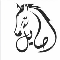 أصـايـل (@a9ayil) 's Twitter Profile Photo