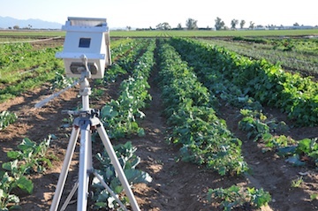 urbanplough's profile picture. Matthew Moore is an artist and farmer based in Phoenix, Arizona who uses art to promote social and ecological change.