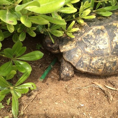 KarenWo89099445's profile picture. Want to make you think.  Want to encourage you to learn.  Want to engage you in science, health, sustainability.  Care about you.