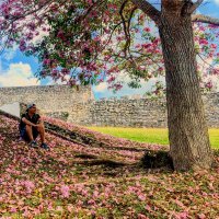 El Arqui (@arquicrd) 's Twitter Profile