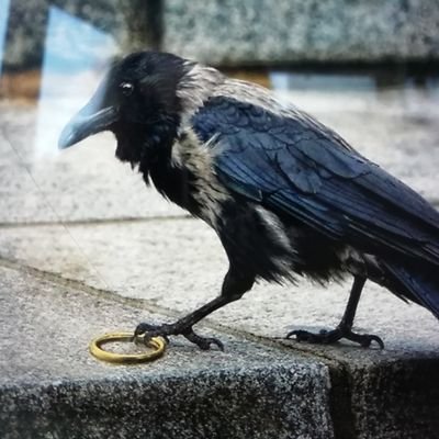 Recherche du sens de la vie, comprendre, expérimenter et se rendre compte qu'en définitif plus on sait moins on sait. Le tout pour le bon le vrais le bien.