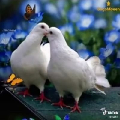 28EXms7zADBhThD's profile picture. 