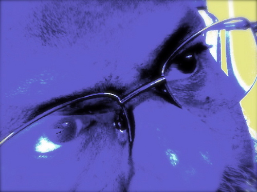 BAALAA_VE's profile picture. Visual Media content creator, Documentary Film-Maker, Photographer, Digital content Consultancy, Media Educationist works on people, culture and social issues.