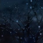 きし★コさんのプロフィール画像