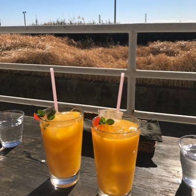 kanakokot's profile picture. 22卒