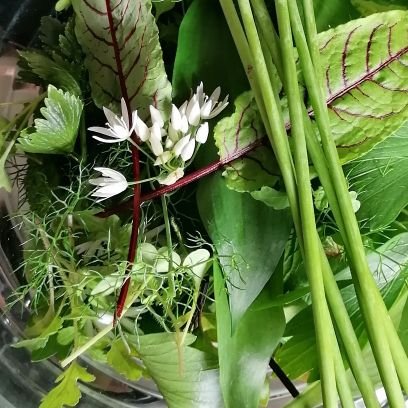 hereliketheoak's profile picture. 