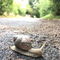 Okan Seker (@_oseker) 's Twitter Profile