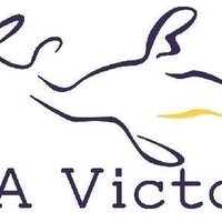 AMSA Vic (@amsa_vic) 's Twitter Profile