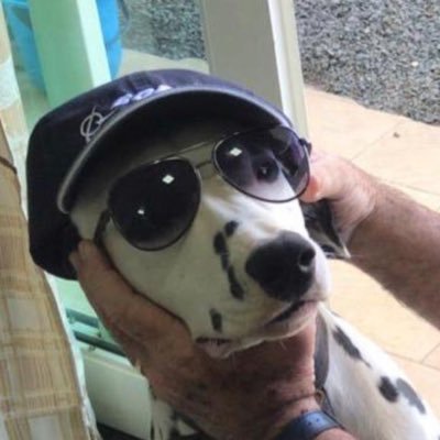 Rubensschatz's profile picture. 多趣味. I like ice cream.