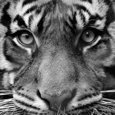 AntBest53's profile picture. 