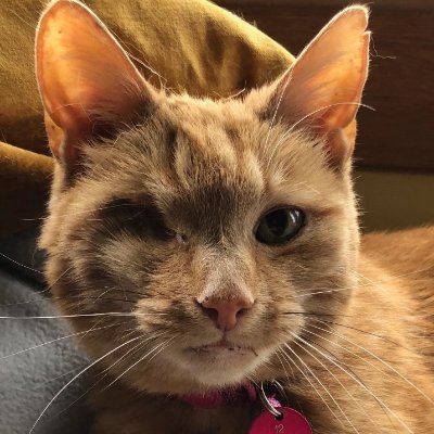 June_ALLIANCE's profile picture. Administrator with the ALLIANCE. Views expressed are my own. @ALLIANCEScot