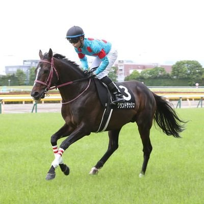 yamakuri1211's profile picture. シルクホースクラブ一口馬主をやっています
キャリックアリード、ピュアグルーヴ、アーバンシック、アルバパテラ