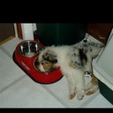 Ronda Green - @rondak65 - Twitter