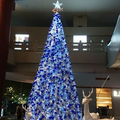 nonchi0309's profile picture. 千葉くんが好きすぎて困ってます。それって危険な関係？人生をReLIFEするなら雄大の國で一緒にわろてんか。楠木とピーターラビット見て宇都宮龍彗会に入会希望。音量あげないと人間失格じゃない副操縦士にプリティが多すぎる足立王子と光源氏とアランが将棋とスマホ落しちゃうのでスカイブッキングなアバランチが世界は笑うよね、殿！